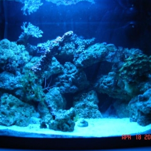 Ful shot 12 gal Aquapod