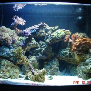 Ful shot 12 gal Aquapod