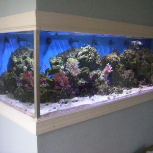 270 gallon