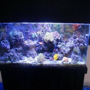Picture_112