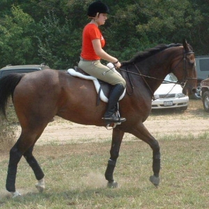 School at a show