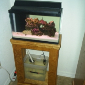 Full Tank and Stand