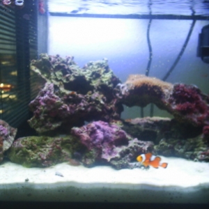 Full_Tank_9-3-06