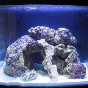 Oceanic Biocube