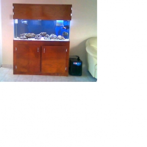 My aquarium