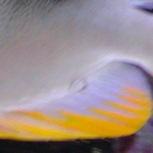 PA260002part