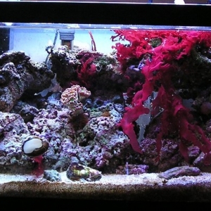 Full Tank Shot 10-29