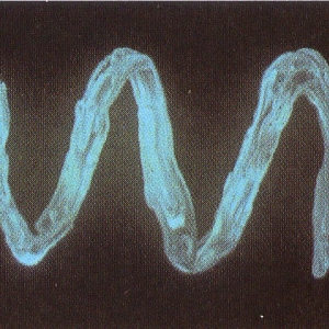 Vibrio fischeri - a glow in the dark bacteria in seawater