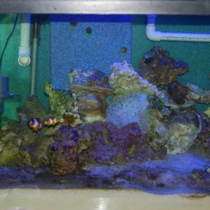 Left side of tank