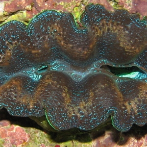 Feeling a bit clammy.