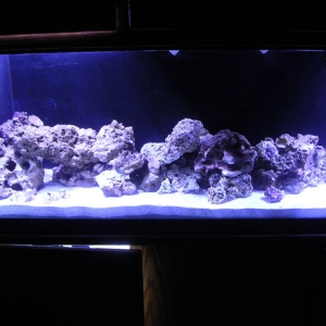 Lighting just put up on tank