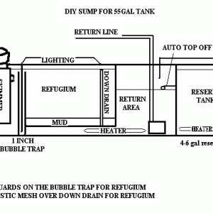 DIY SUMP/REFUGIUM FOR 55 GAL