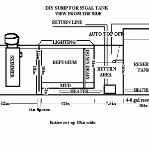 Sump for 55gal with measurments