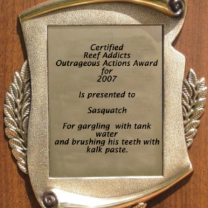 Award_Plaque_1_