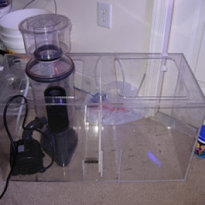 New Sump & Skimmer