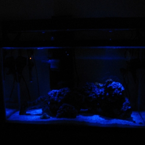 Tank_at_Night