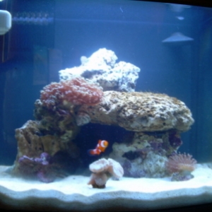 12g_NANO