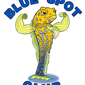Blue Spot Club Logo