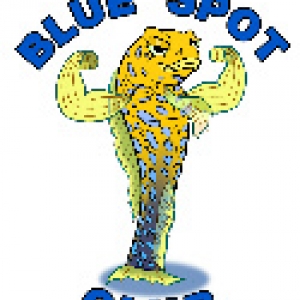 Small Bluespot Club Logo
