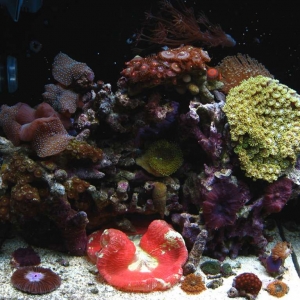 12g Nano