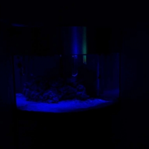 Lunar Lighting