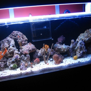 1st Scape FTS2