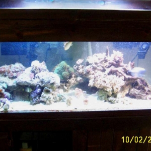 my tank