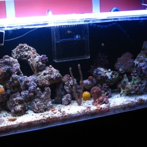 FTS @ 3 mo.