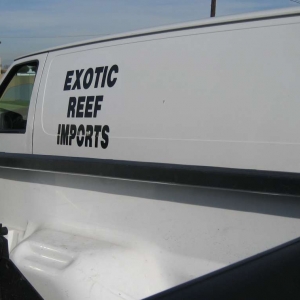 Exotic Reef Imports