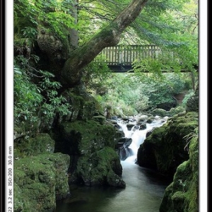 Tullymore Forrest Park