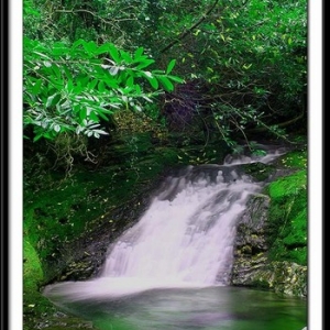 Tullymore Forrest Park