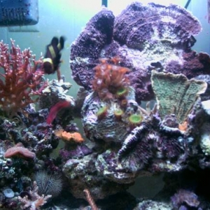 PICT0060b