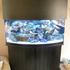 72 gallon bow front