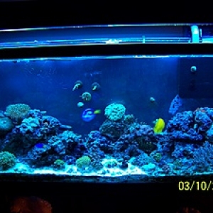 full tank