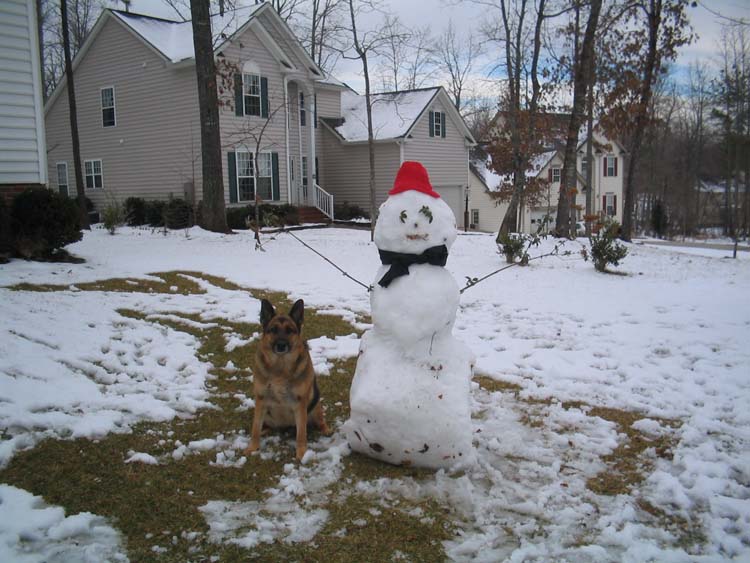 02-04 snowman & maggie
