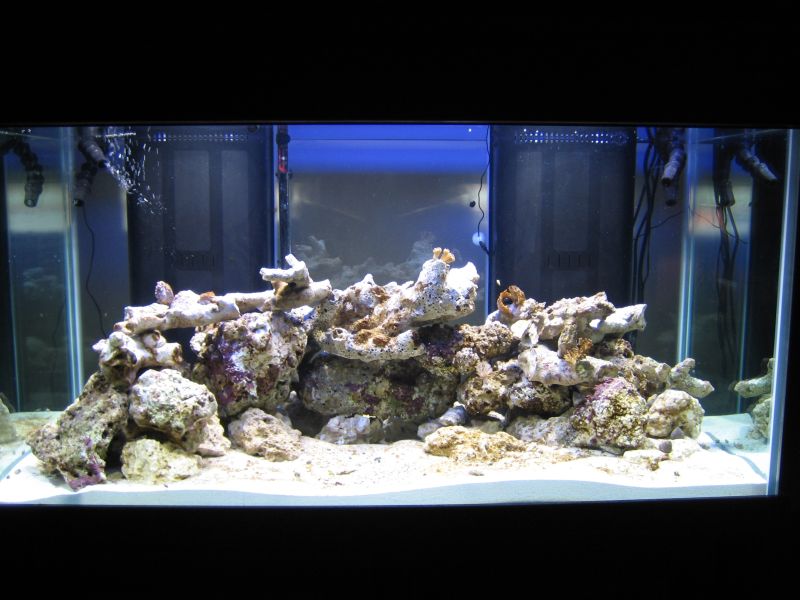 120 Reef Tank Progress 5/30/06