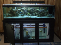 150 reef with sump