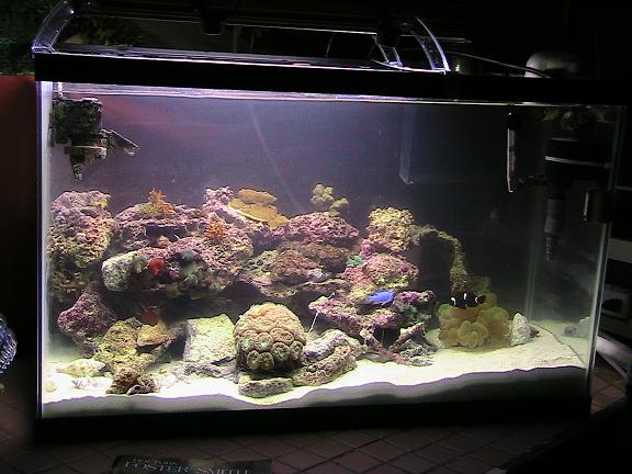 30G_reef_3-2007_1rs