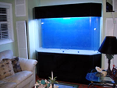 350 gallon tenecor all acrylic reef aquarium (New Setup)