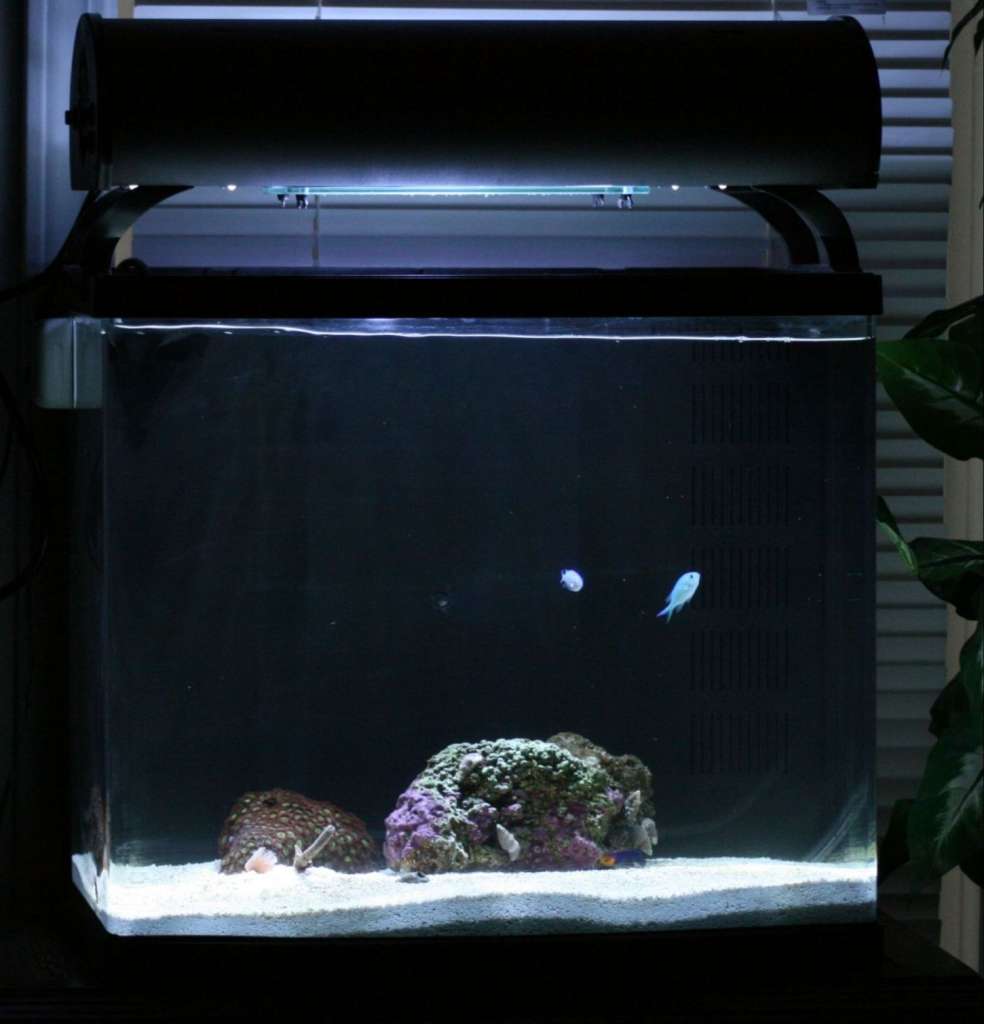 Addition to New Tank