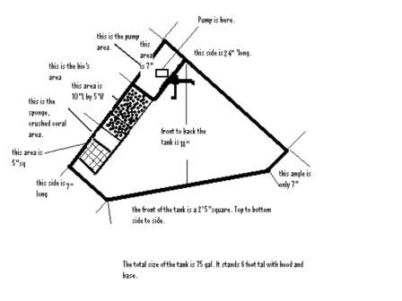 Drawing of the tank