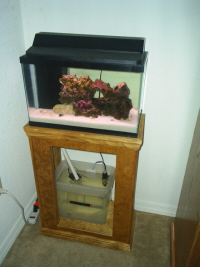 Full Tank and Stand