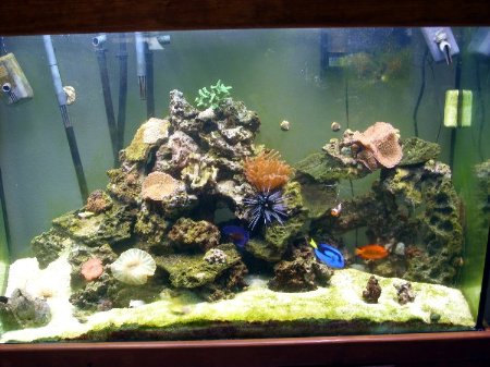 Full_Tank_front_view