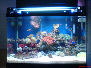 My New Aquarium