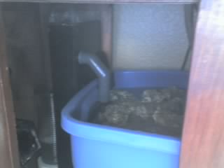 my skimer  and live rock in my cheep sump