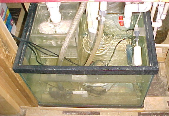 Sump front view