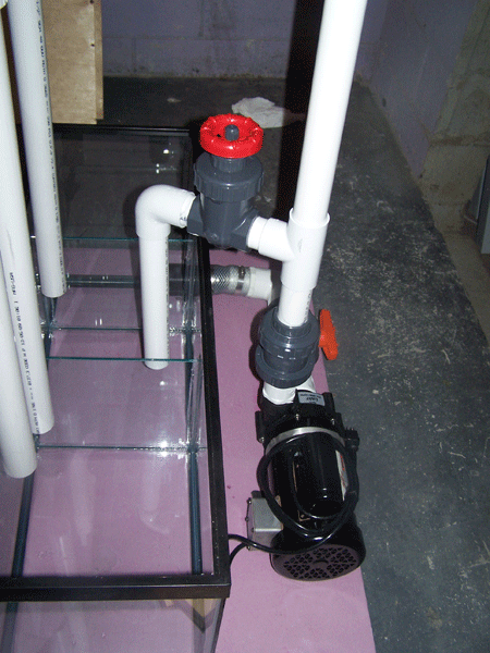 Sump (side view)