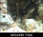 img9751uk0_th