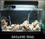 img9747fk1_th