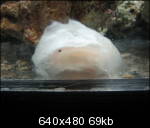 img9752gd3_th